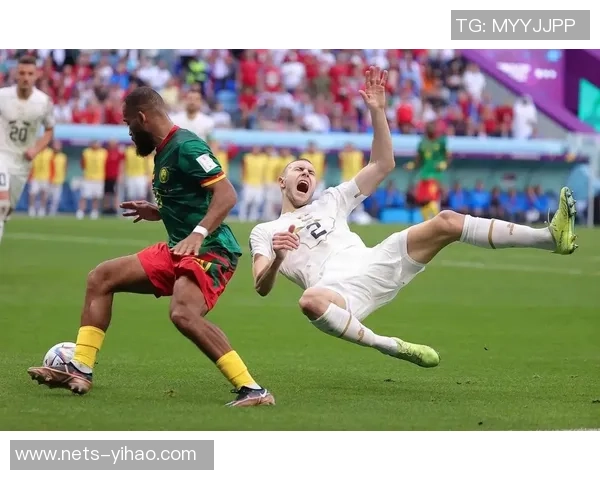 2010年世界杯日本队对阵喀麦隆队精彩回顾与赛后分析